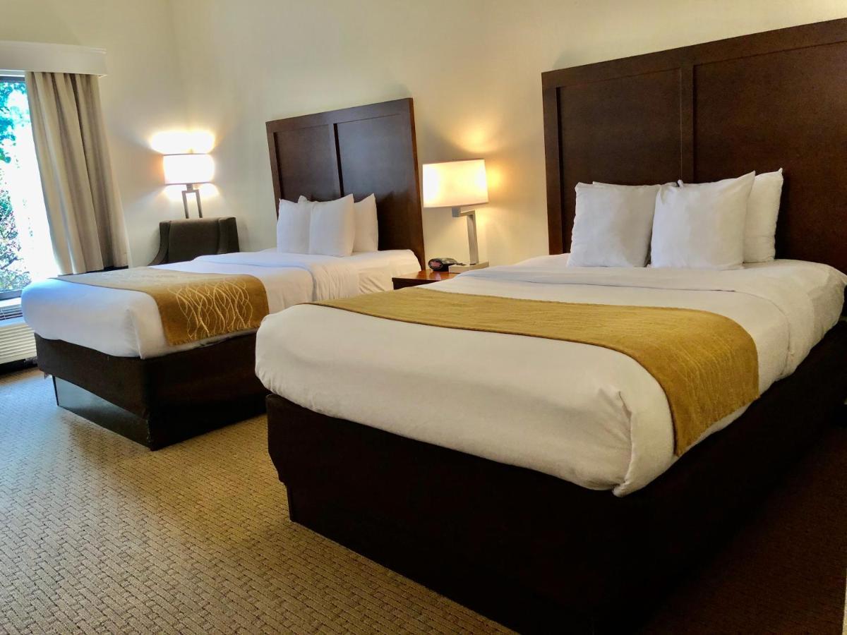 Comfort Inn & Suites Rogersville Kültér fotó