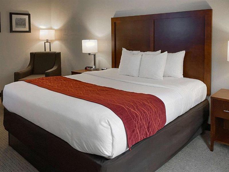 Comfort Inn & Suites Rogersville Kültér fotó