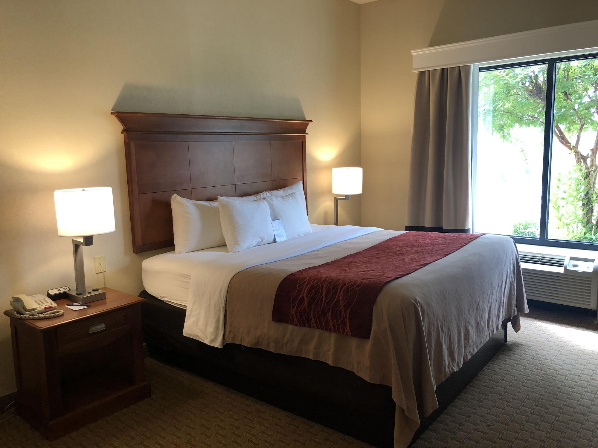 Comfort Inn & Suites Rogersville Kültér fotó