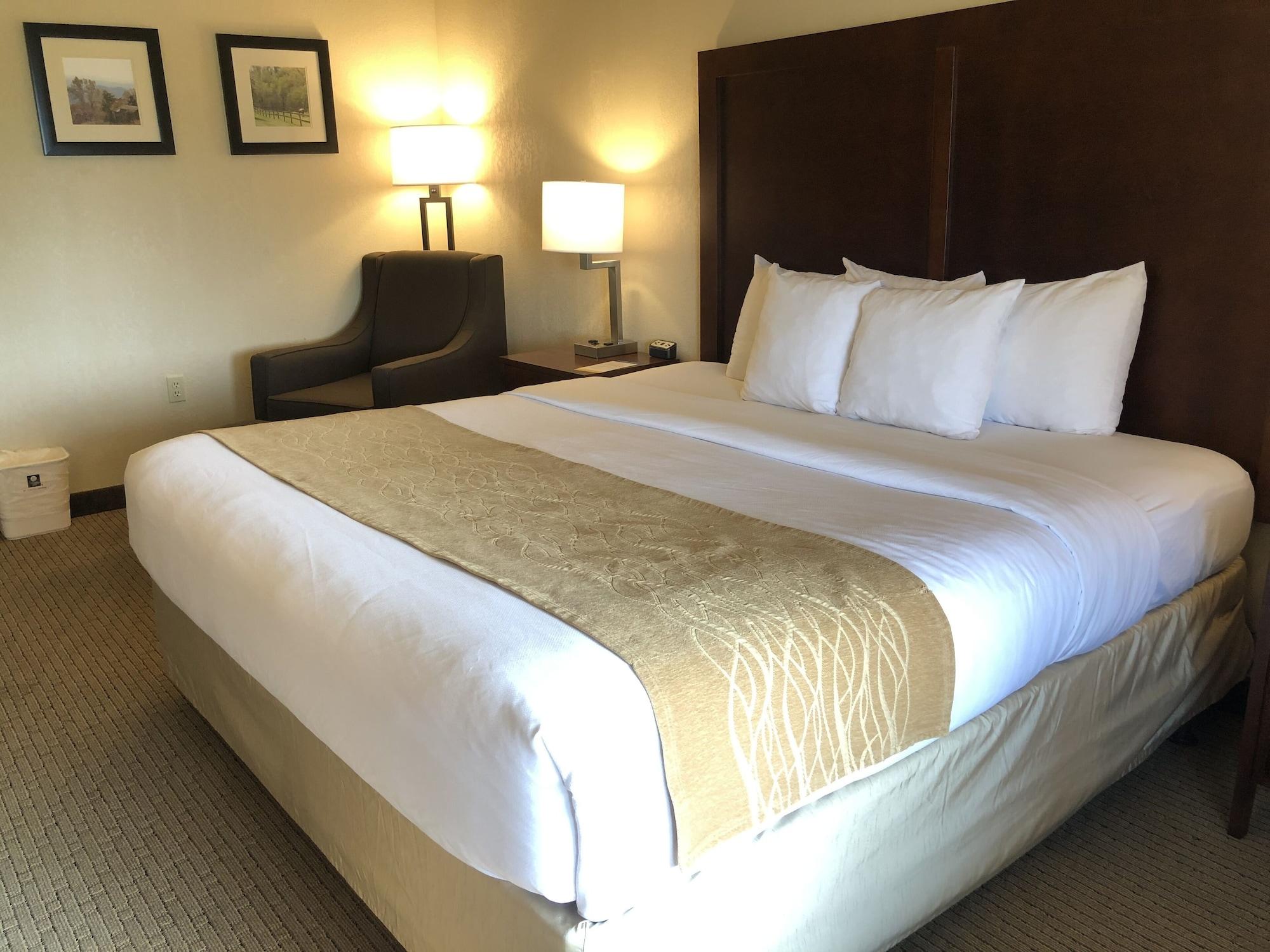 Comfort Inn & Suites Rogersville Kültér fotó