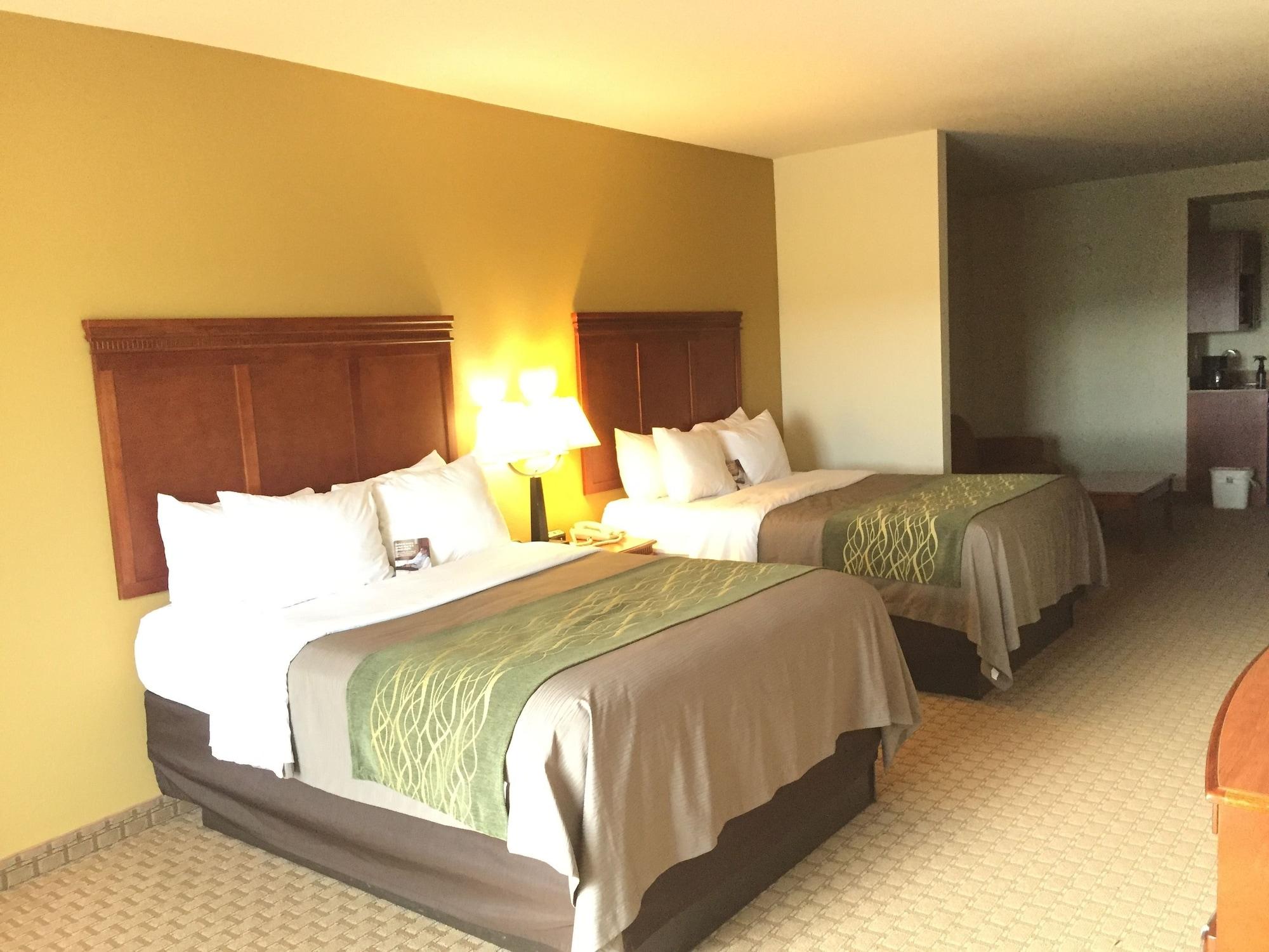 Comfort Inn & Suites Rogersville Kültér fotó