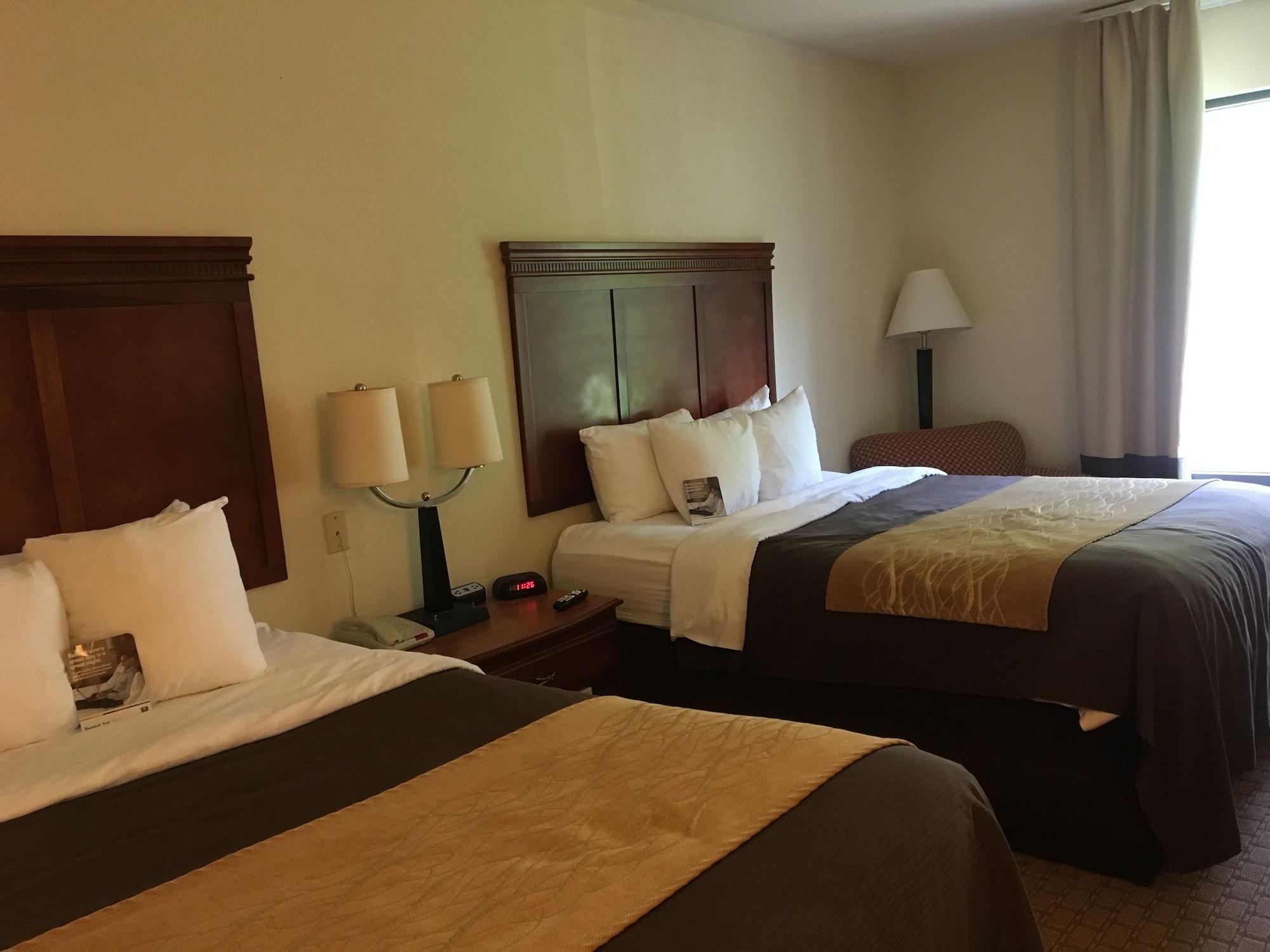 Comfort Inn & Suites Rogersville Kültér fotó