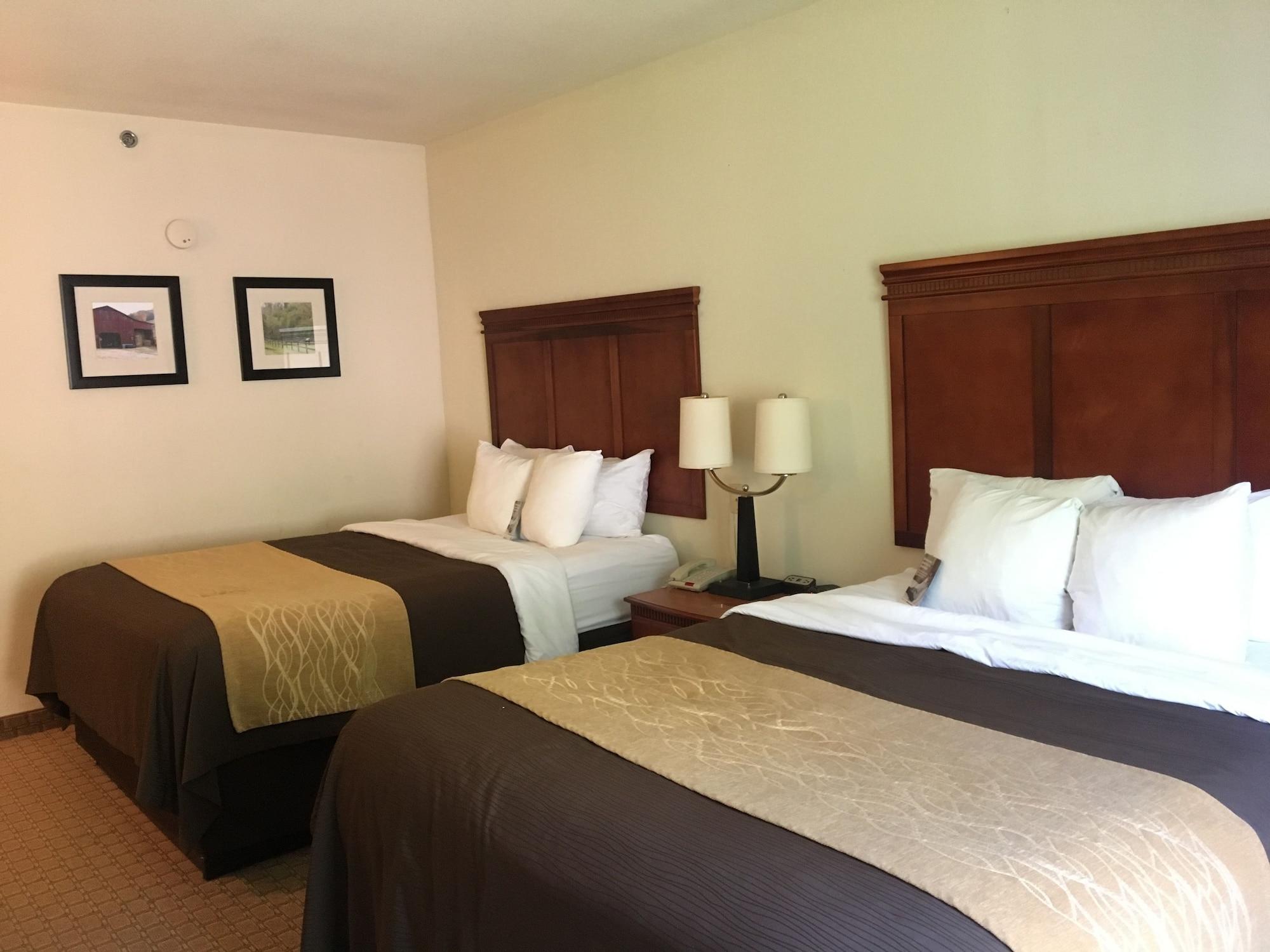 Comfort Inn & Suites Rogersville Kültér fotó