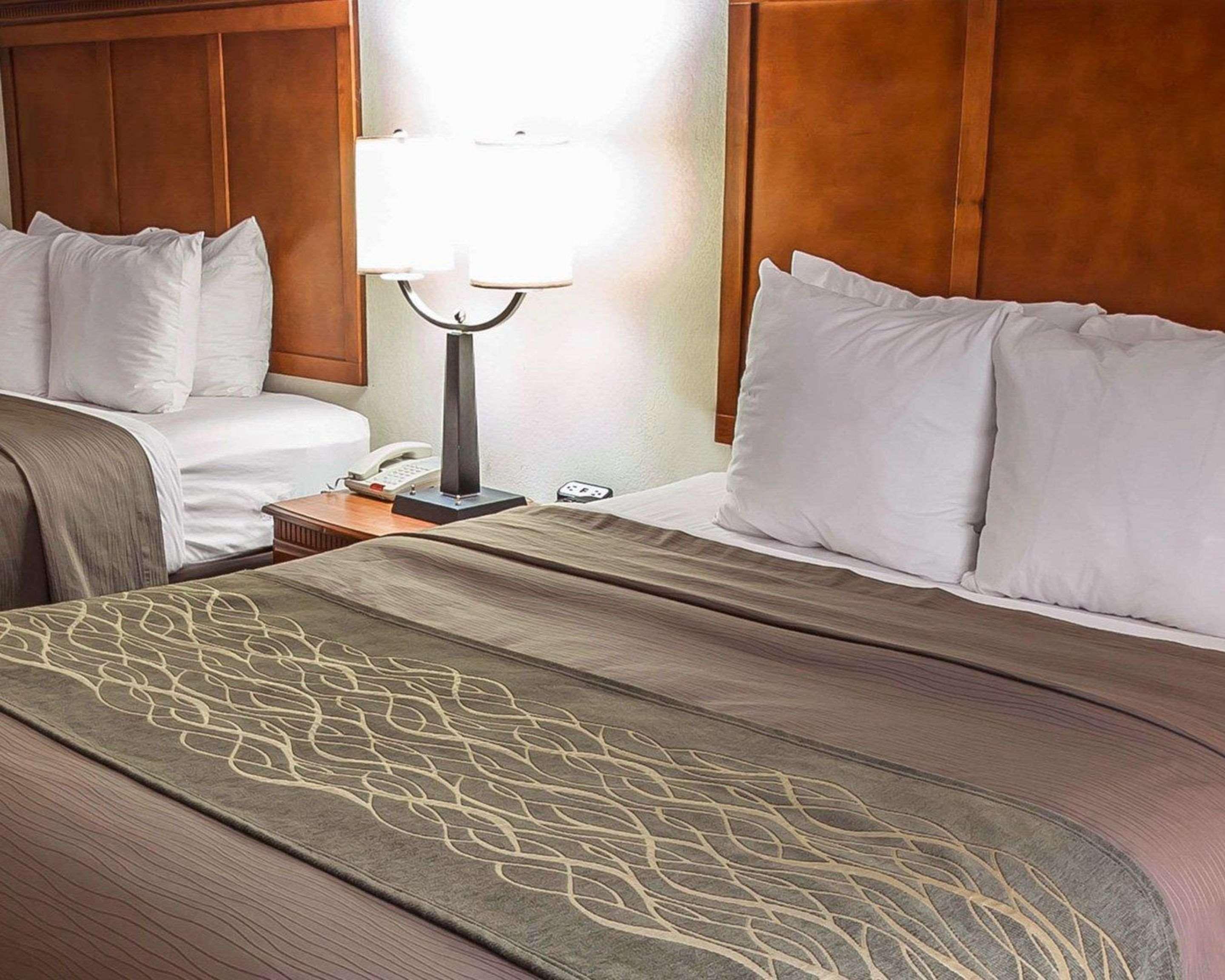 Comfort Inn & Suites Rogersville Kültér fotó
