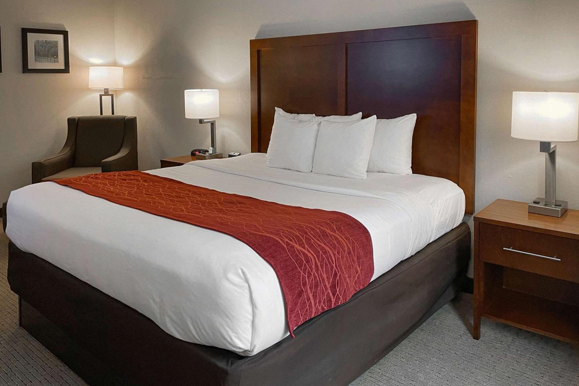 Comfort Inn & Suites Rogersville Kültér fotó